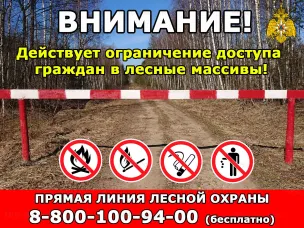 Внимание! Действует ограничение доступа граждан в лесные массивы!